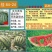 麒麟王少籽巨龙世纪雷王京欣王甜王8424西瓜种子