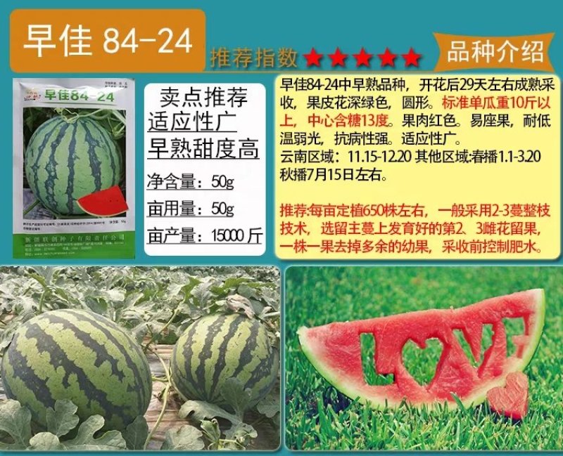 麒麟王少籽巨龙世纪雷王京欣王甜王8424西瓜种子