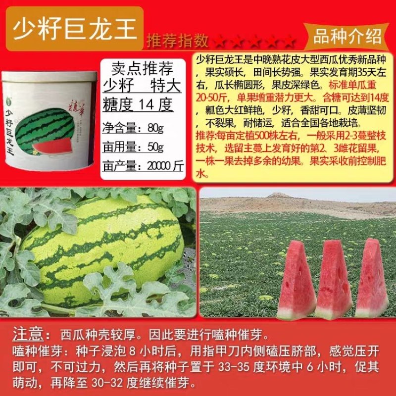 麒麟王少籽巨龙世纪雷王京欣王甜王8424西瓜种子