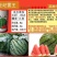 麒麟王少籽巨龙世纪雷王京欣王甜王8424西瓜种子