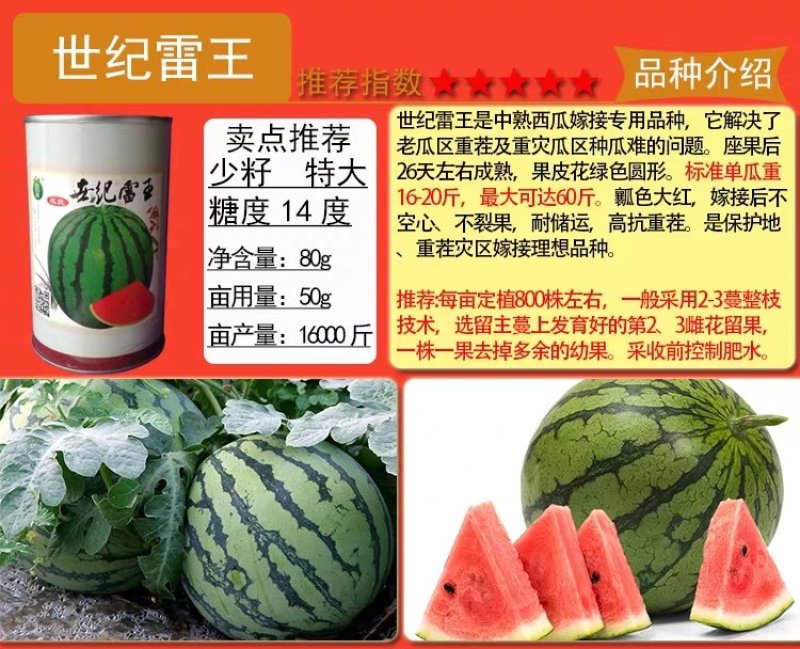 麒麟王少籽巨龙世纪雷王京欣王甜王8424西瓜种子