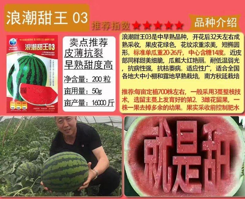 麒麟王少籽巨龙世纪雷王京欣王甜王8424西瓜种子