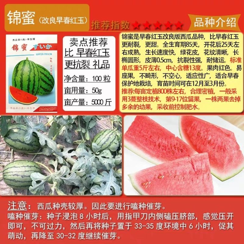麒麟王少籽巨龙世纪雷王京欣王甜王8424西瓜种子