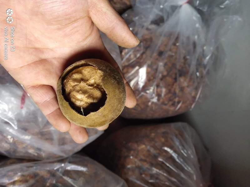 产地直销广西桂林特产低温烘烤罗汉果破损果批发零售