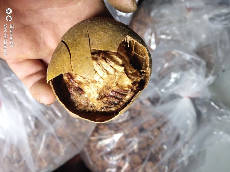 产地直销广西桂林特产低温烘烤罗汉果破损果批发零售