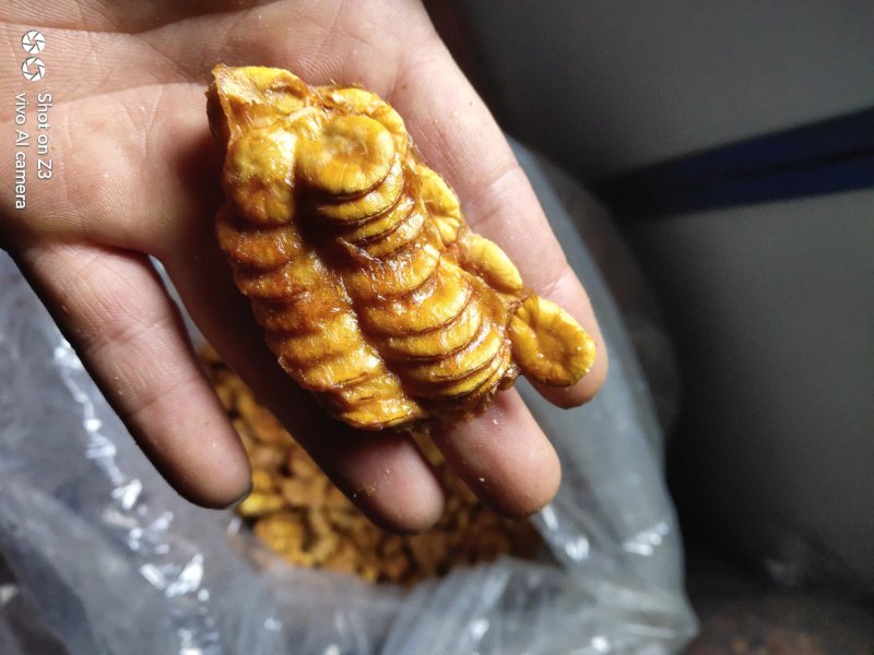 永福罗汉果仁（低温电烤）