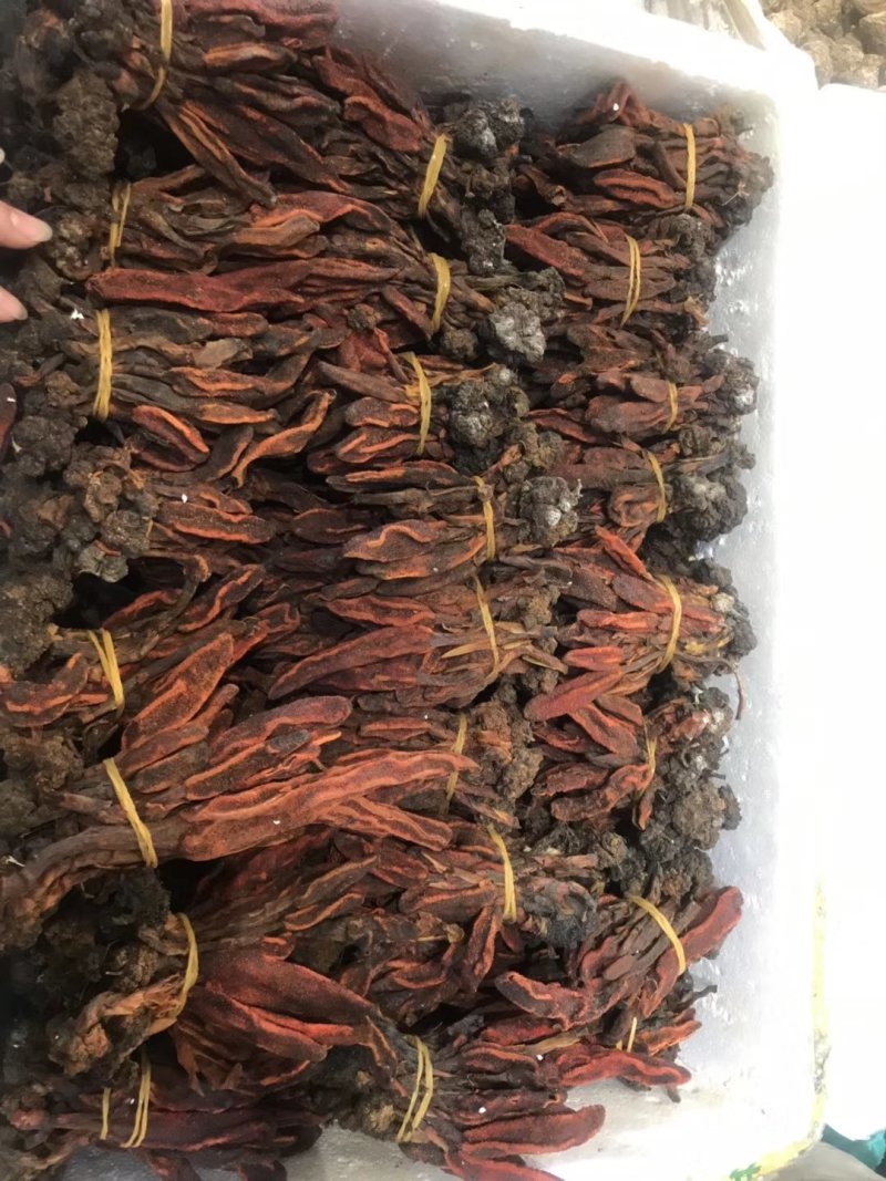 回春草干货散装2斤起包邮量大从优