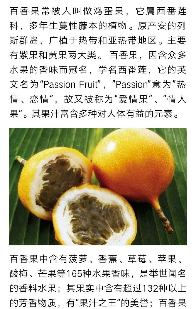 紫香一号百香果苗台农