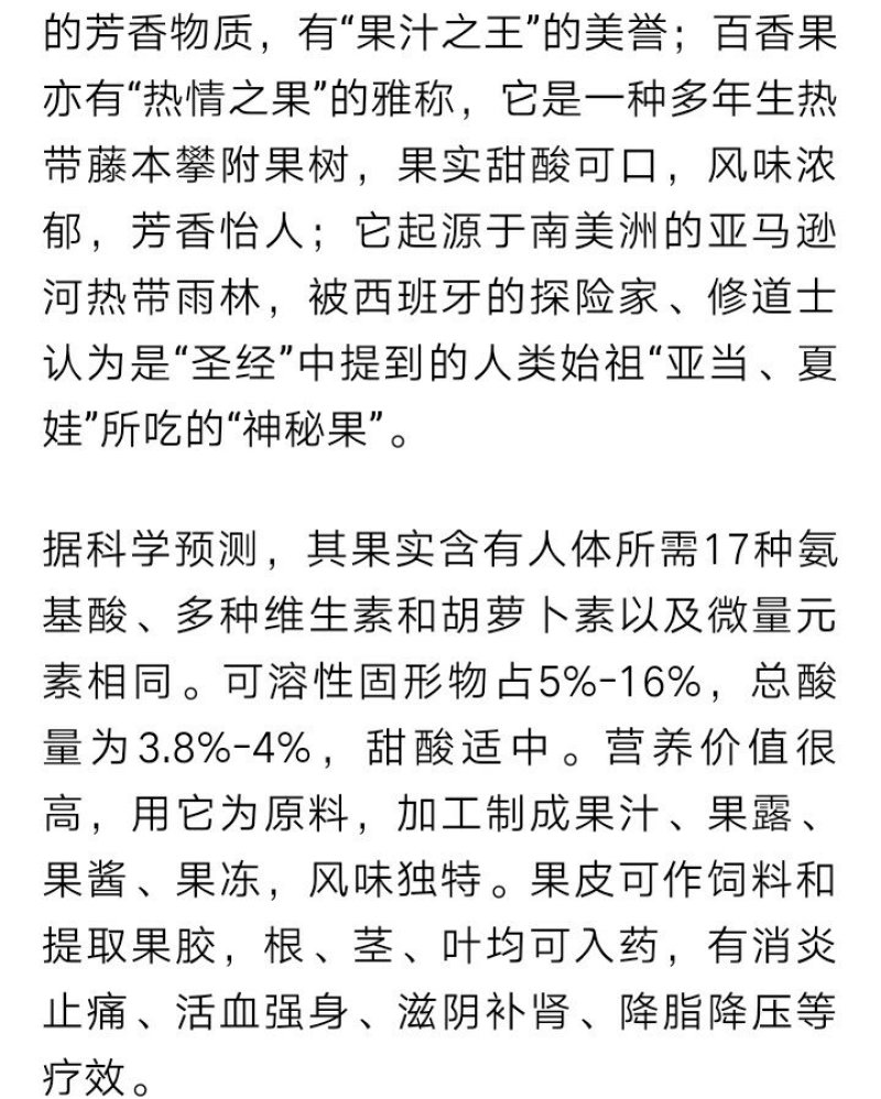 紫香一号百香果苗台农