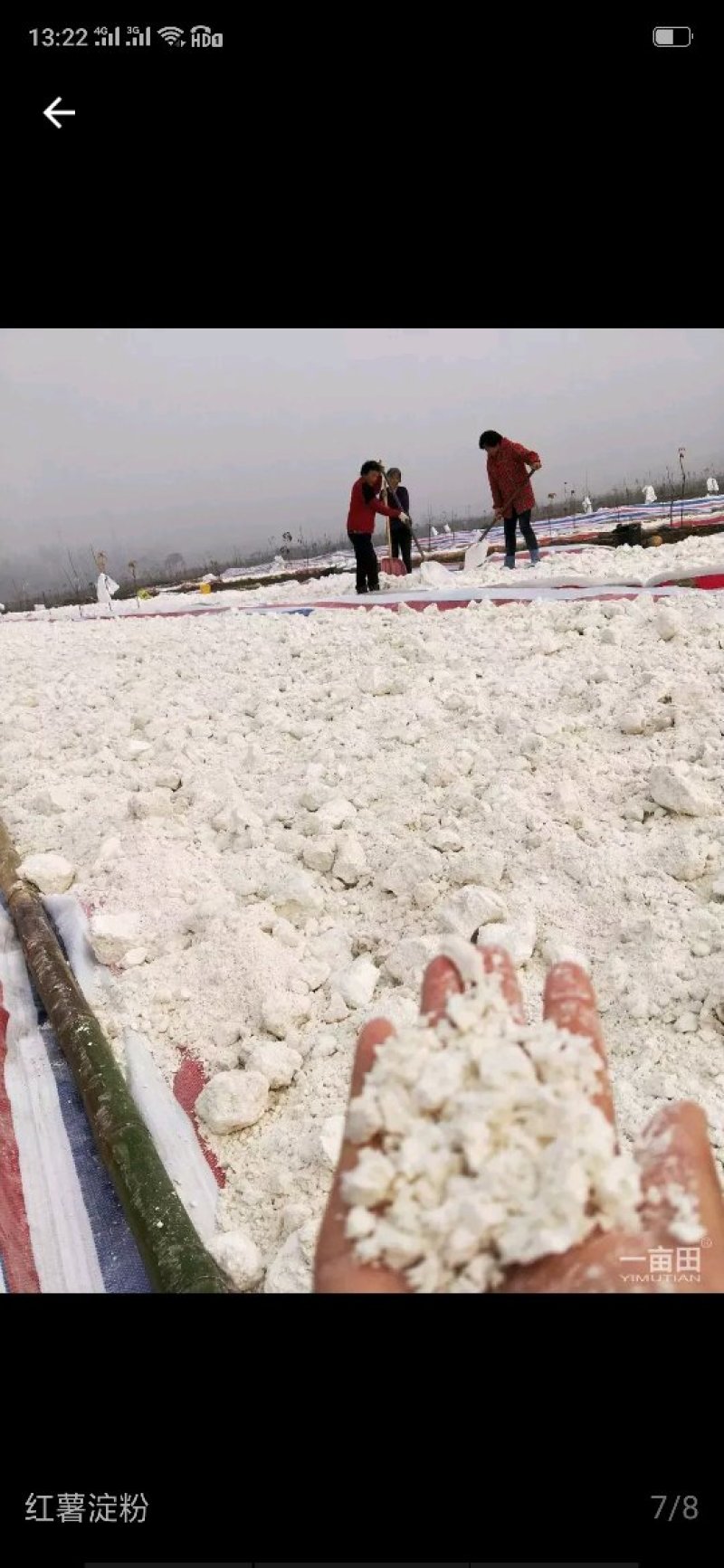 红薯淀粉