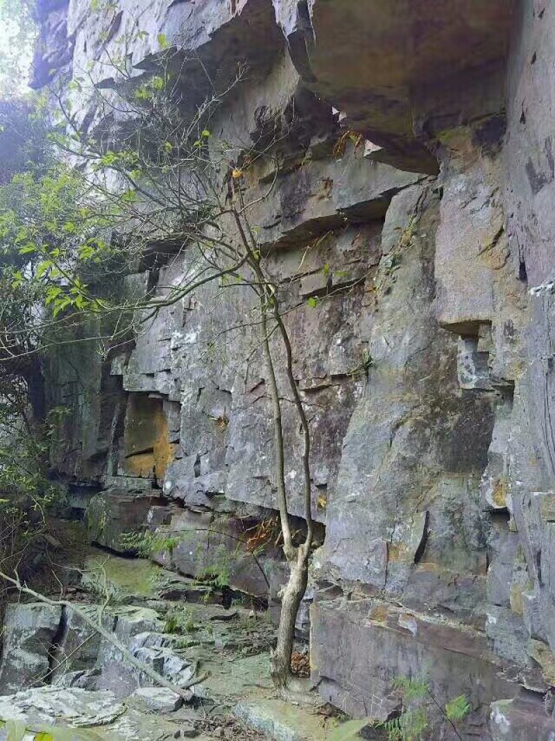 蜂蜜