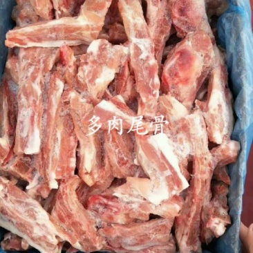 尾骨