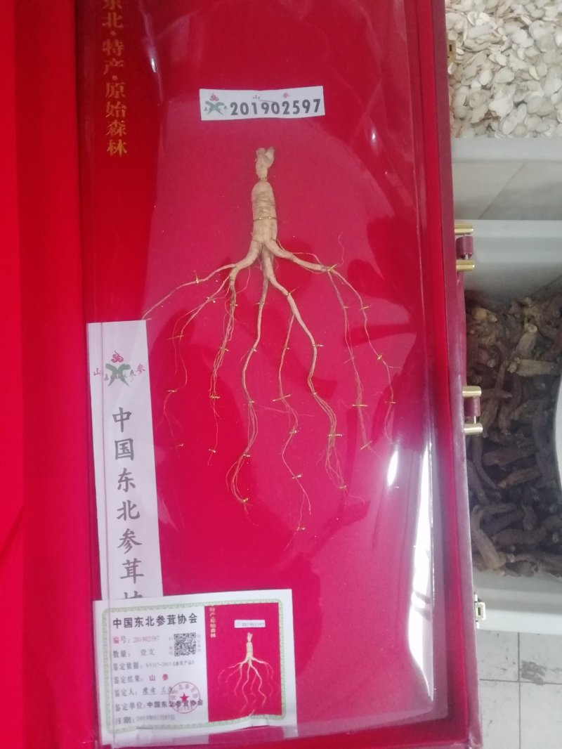 野山参礼盒装送礼佳品