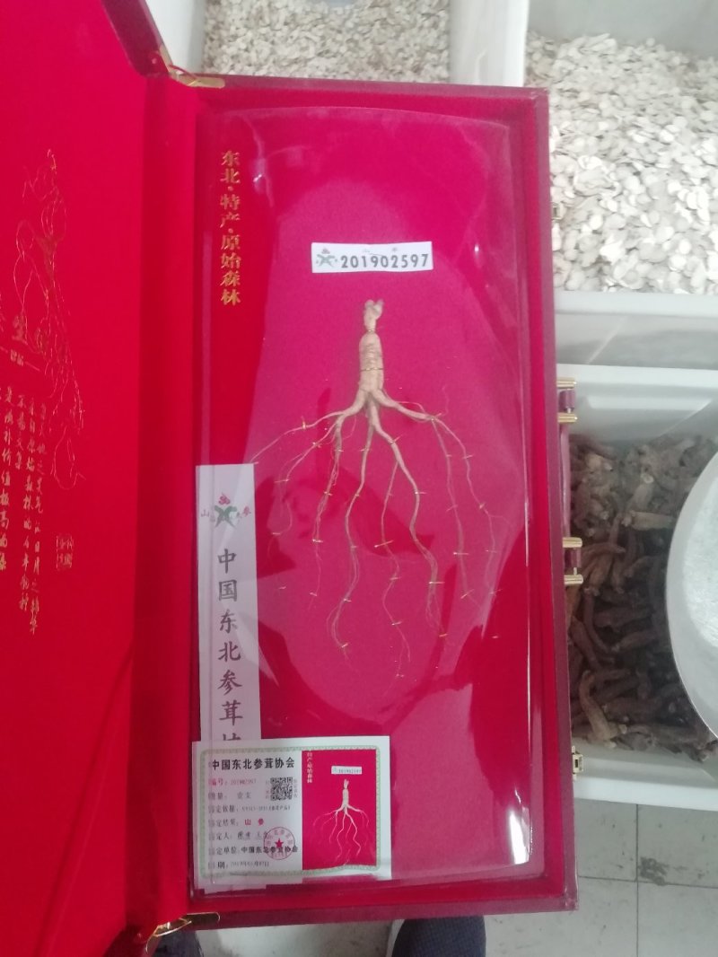 野山参礼盒装送礼佳品