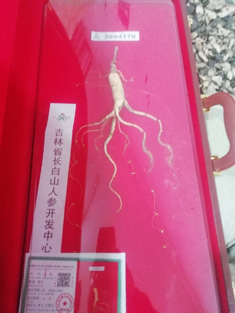 野山参礼盒装送礼佳品