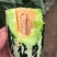 博洋甜瓜系列