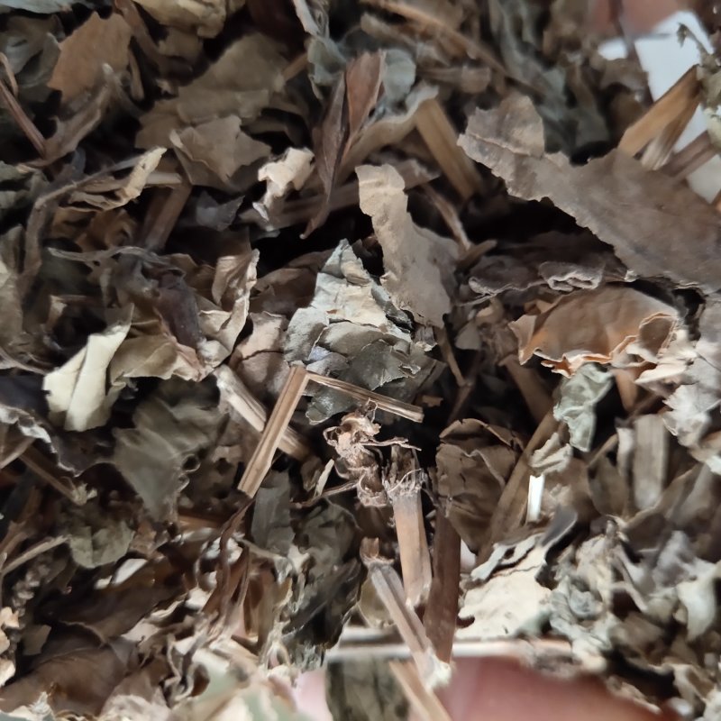 鱼腥草干货新货选过筛新货关书药业