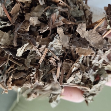 鱼腥草干货新货选过筛新货关书药业