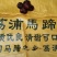 广西特产(荔浦马蹄)**9个一18个/斤统货