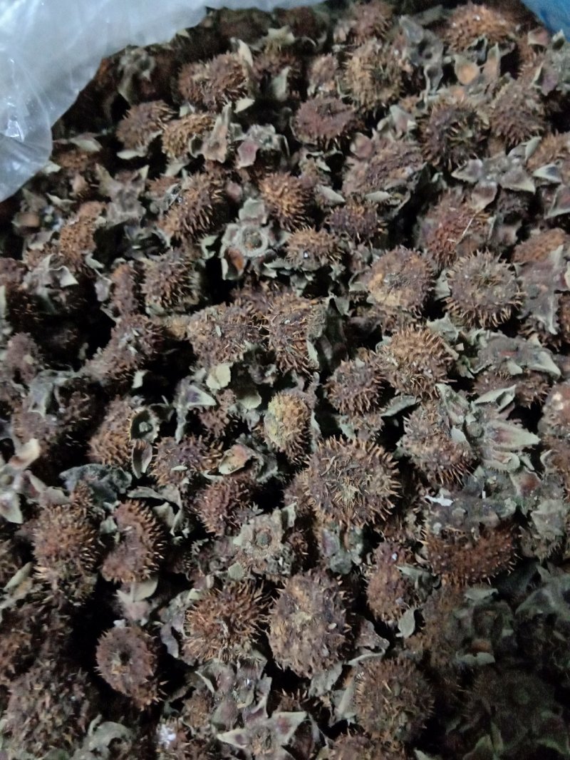 刺梨干