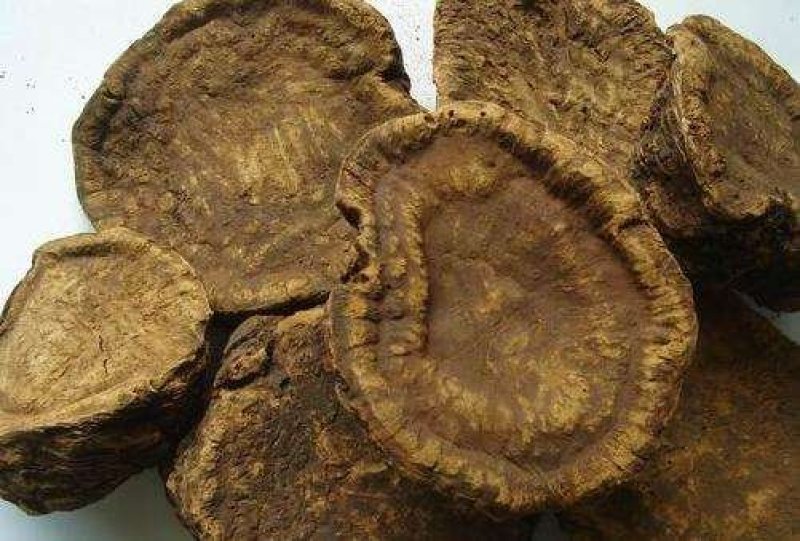 大黄马蹄黄大黄粉火参批发零售中药材