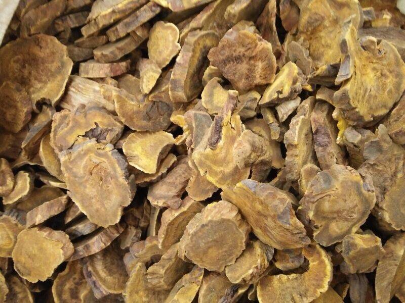 大黄马蹄黄大黄粉火参批发零售中药材