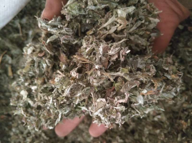 艾叶，大艾叶碳，不满意保退换可放心购买不满意可以退换货