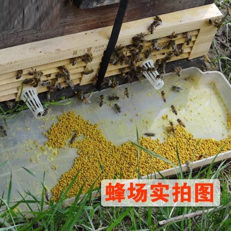 脱粉器4排10个包邮