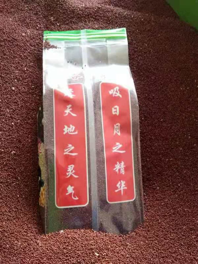 5斤包邮广西特产红粟米鸭爪粟狗爪粟