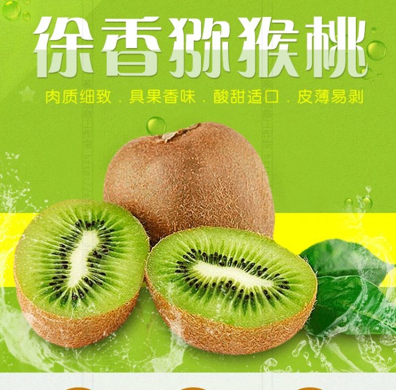 猕猴桃苗，软枣猕猴桃苗，红心黄心猕猴桃苗抗冻品种