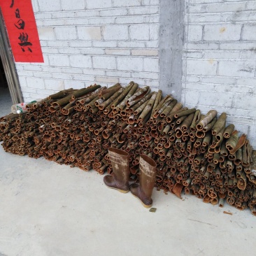 桂皮通货