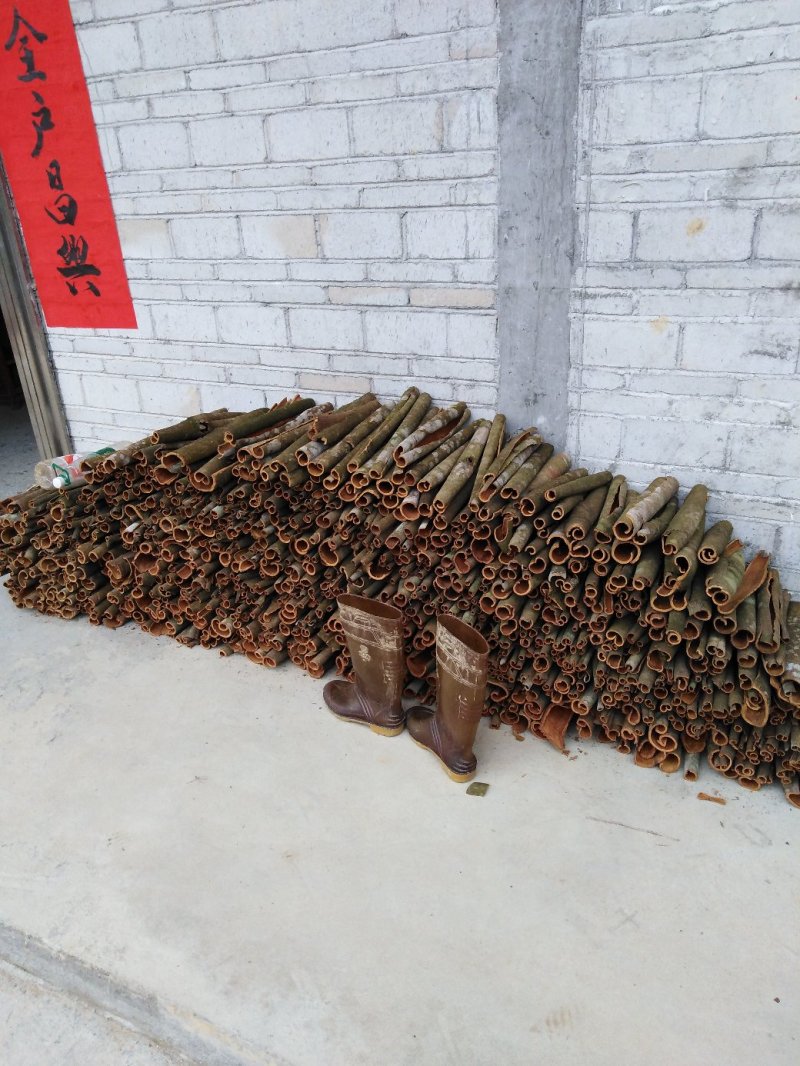 桂皮通货