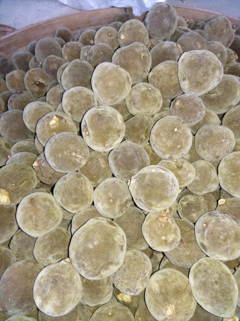 化橘红三年陈橘红果可切片可整果，品质保证