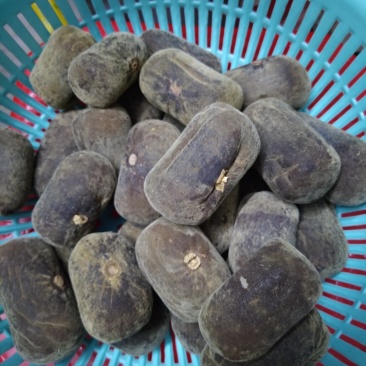 化橘红橘红果压制长果品质保证