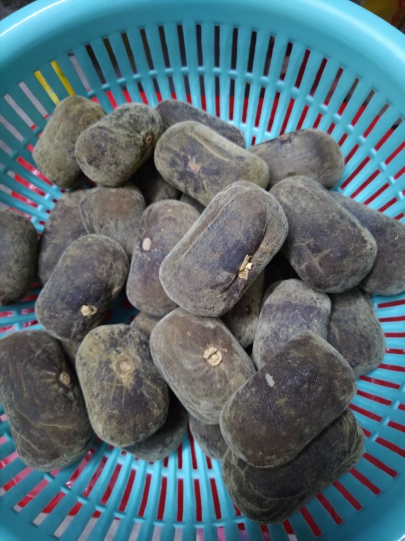 化橘红橘红果压制长果品质保证