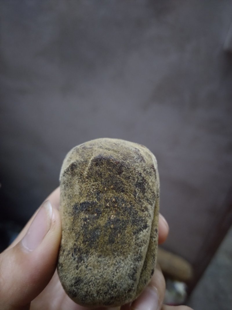 化橘红橘红果压制长果品质保证