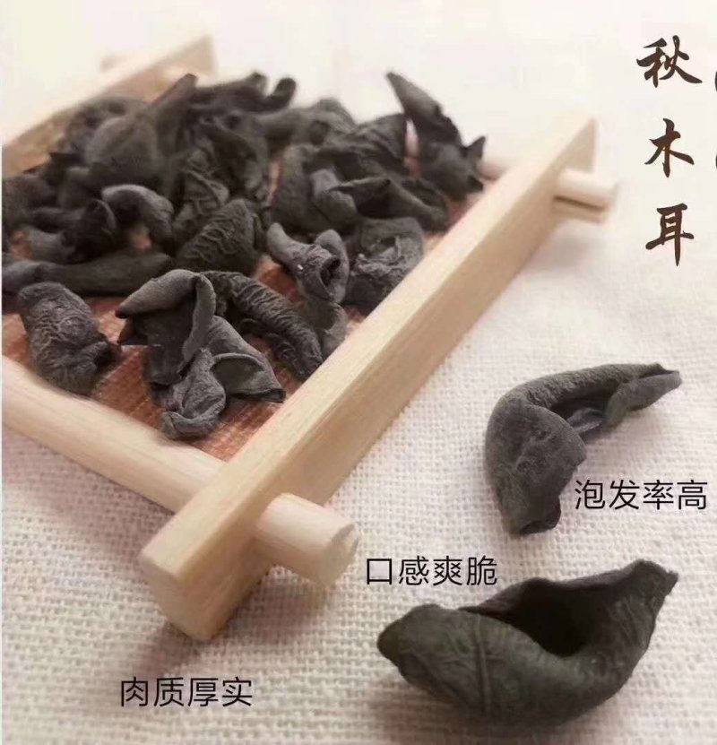 黑木耳特级柞木秋木耳一斤起卖包邮产地直供当天发货