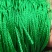 江苏宿迁沭菊花种植网爬藤网大量供应价格便宜欢迎咨询下单
