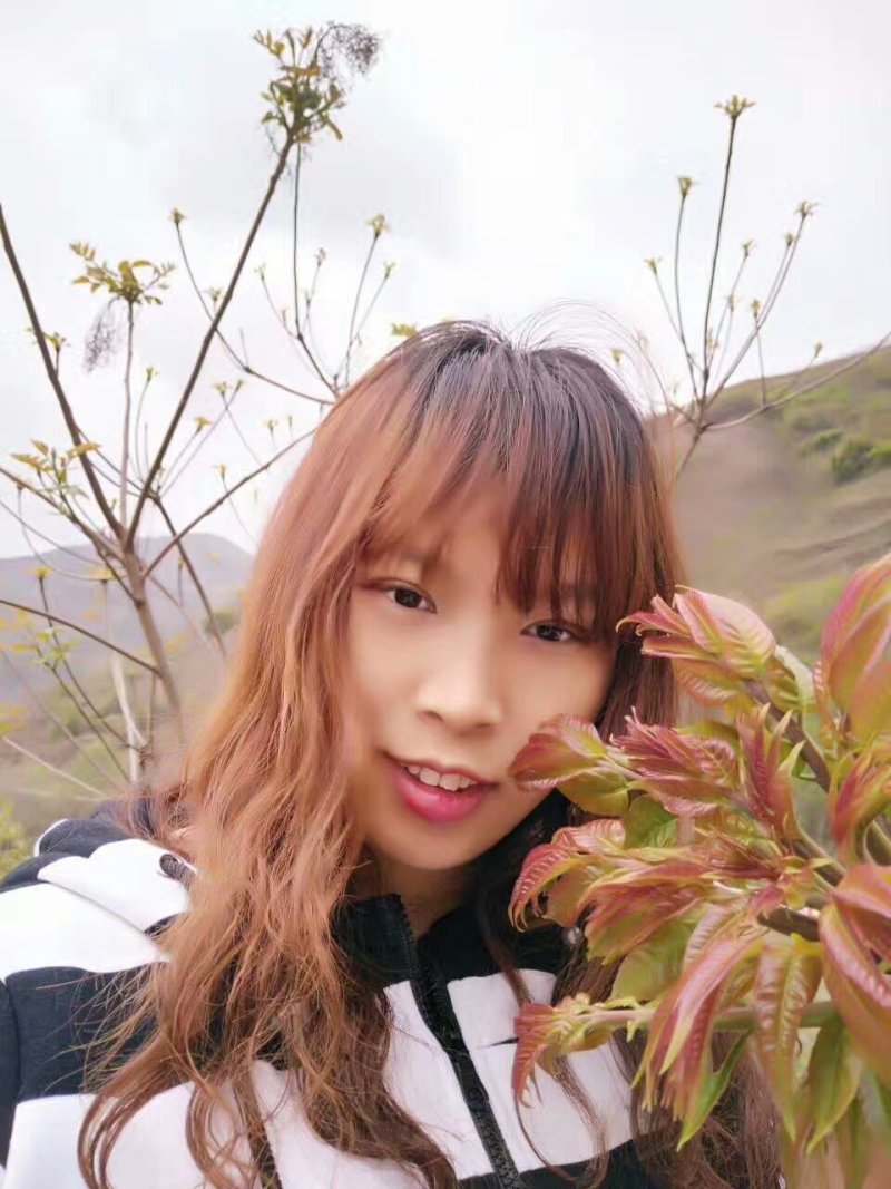 香椿芽红油香椿郧西地标产品