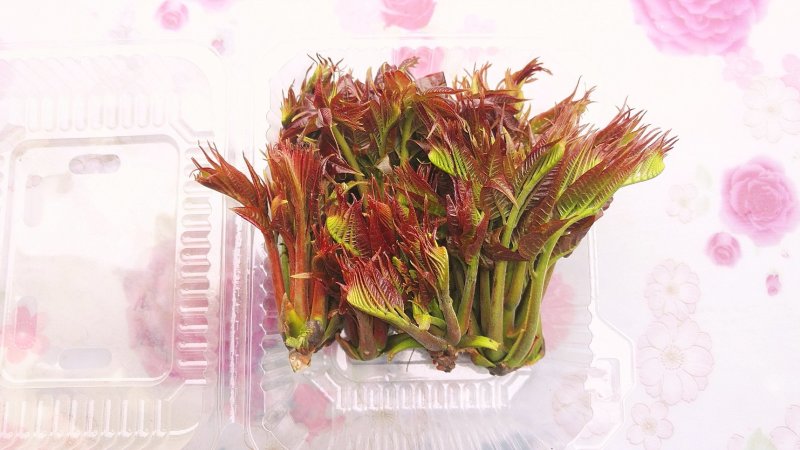香椿芽红油香椿郧西地标产品