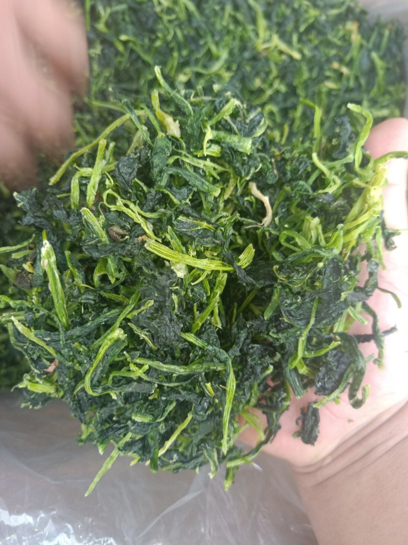 脱水蔬菜万年青山野菜凤凰菜