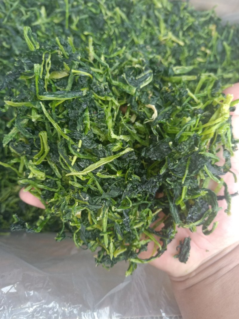 脱水蔬菜万年青山野菜凤凰菜