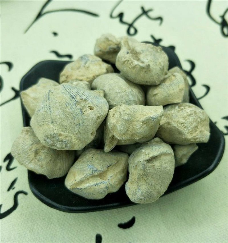 石燕石燕子大石燕燕子石中药材