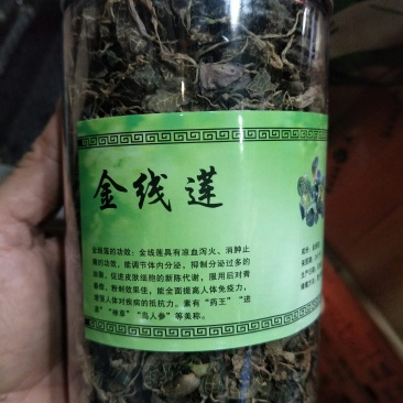 金线莲
