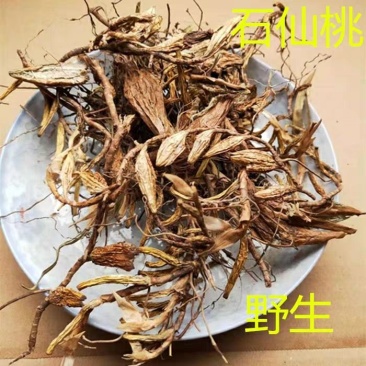 石仙桃石山莲石橄榄果上叶千年矮中药材