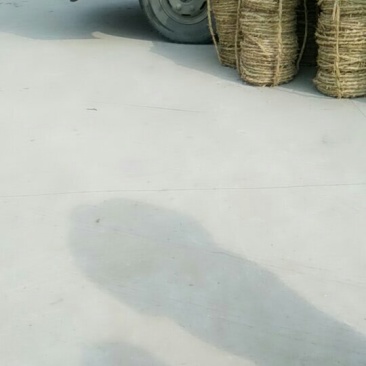 供应草绳量大优
