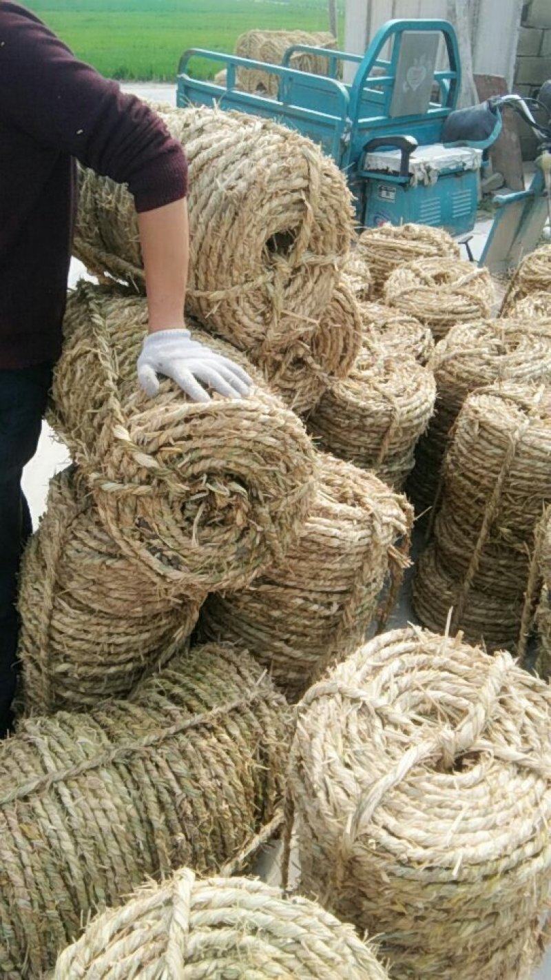 供应草绳量大优
