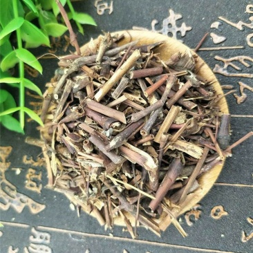 石莽草雷公须四季红小红草太阳草中药材