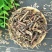 石莽草雷公须四季红小红草太阳草中药材