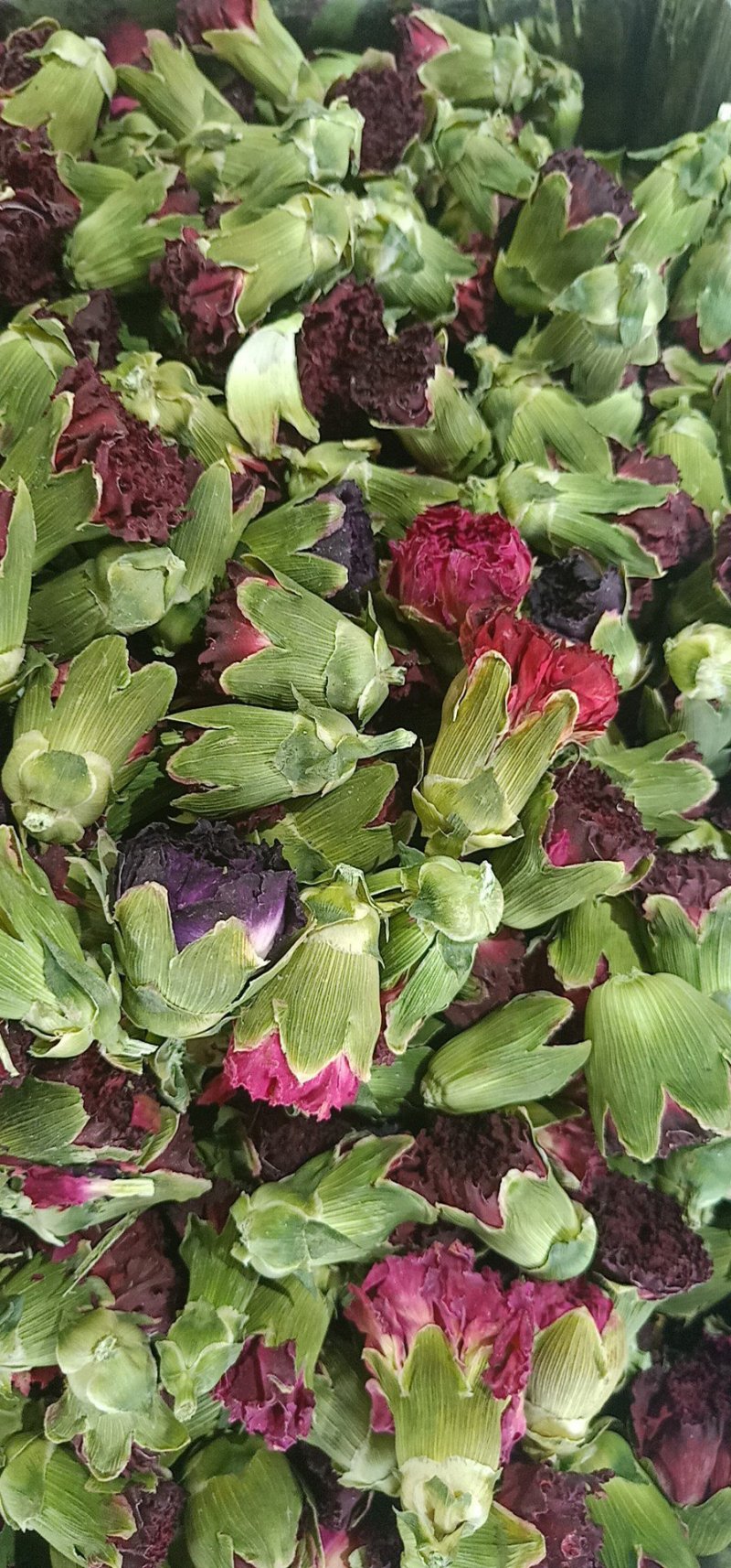 花茶康乃馨康乃馨花茶泡水泡茶均可